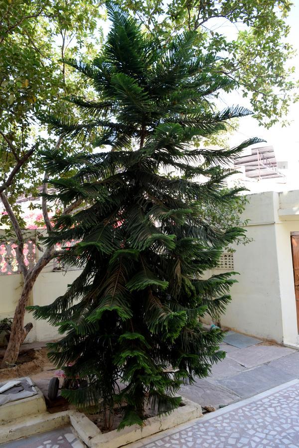Hotel Kamal Villas Pushkar Luaran gambar